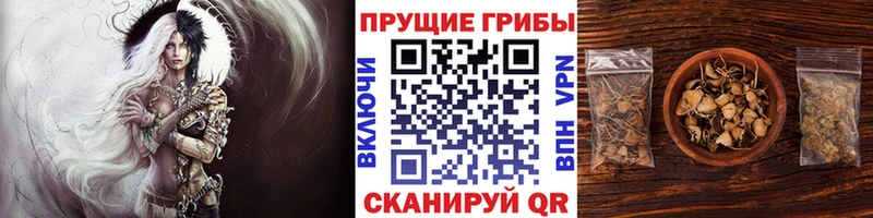Галлюциногенные грибы Cubensis  Томилино 